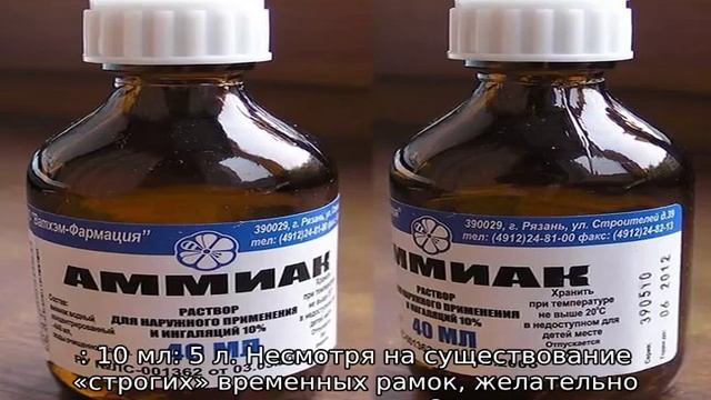 Нашатырный спирт для рассады томатов смотреть онлайн