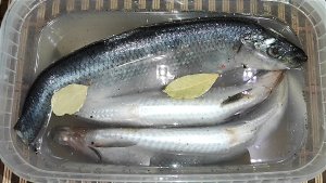 Беспроигрышный рецепт СЕЛЕДКИ на все случаи! Золото Камчатки: Слабосоленая СЕЛЬДЬ целиком в рассоле