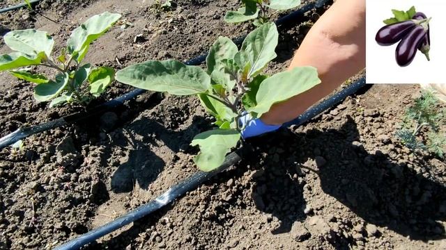 Стройка Хиты