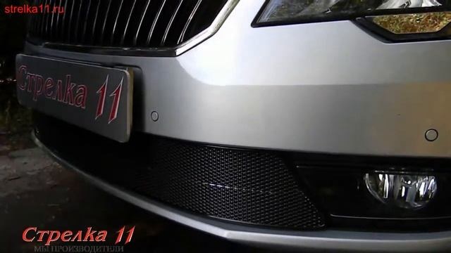 Защита радиатора Premium для SKODA SUPER B 2014 (Черная) - strelka11.ru смотреть онлайн