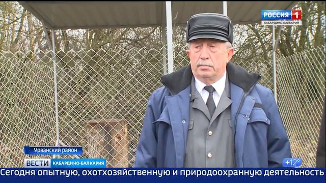 Разделка диких животных и птиц после охоты должна проходить на специально оборудованных местах и по смотреть онлайн