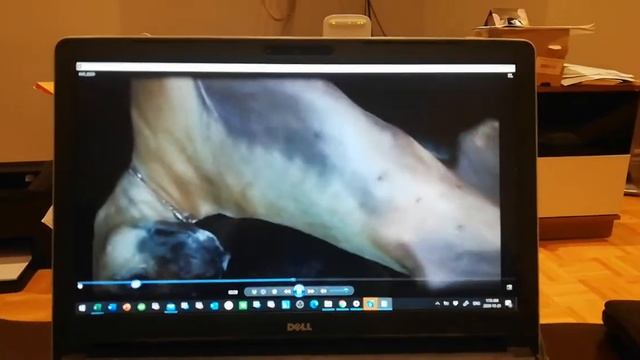 When I win, I will do worse things to your Oracle смотреть онлайн