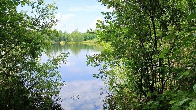 VLOG? НАМЫЛА КИСТИ?♀️ СЕГОДНЯ ИДЕМ В ЛЕС? МУЖ ПОДАРИЛ РОМАШКИ? смотреть онлайн