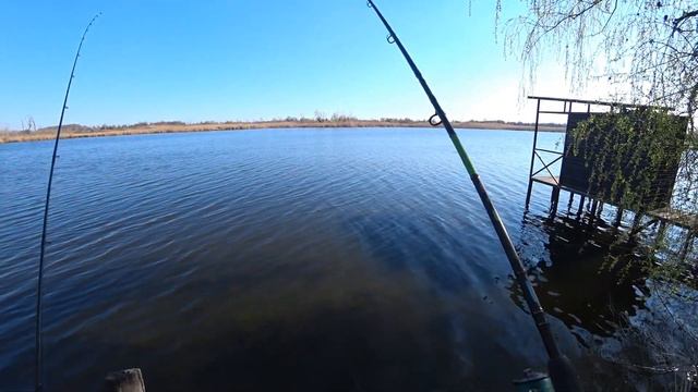 Ловля карася, плюс неожиданный трофей. смотреть онлайн