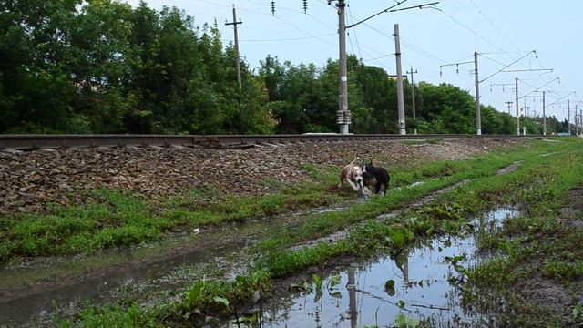 Ох уж эти детки .... смотреть онлайн