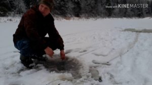 САМАЯ ПРОСТАЯ УСТАНОВКА СЕТИ ПОД ЛЁД. ЛОВИМ ЖИВЦА.