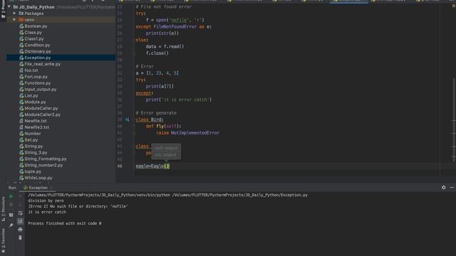 JD with Daily Python Practice ( Python Exception ) смотреть онлайн