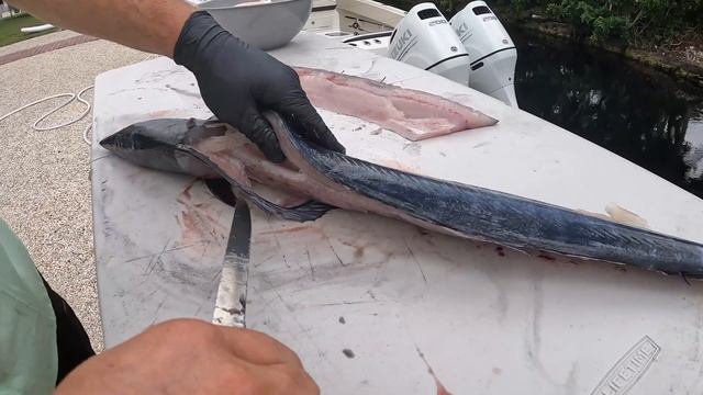 Wahoo Trolling Trainwreck / Catch, Clean and Cook! смотреть онлайн