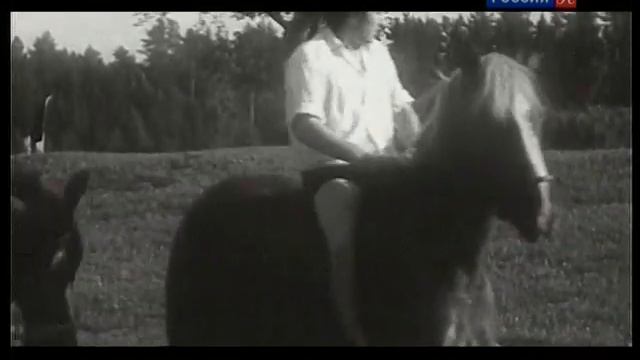 Долгая счастливая жизнь