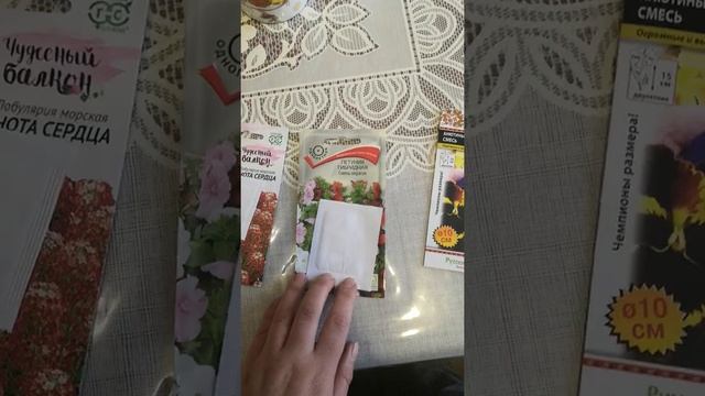 посадка Виолы, лобулярии. сеем -сеем смотреть онлайн