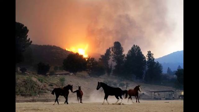 Incêndio na Califórnia é o pior da história do Estado, com 42 mortos смотреть онлайн