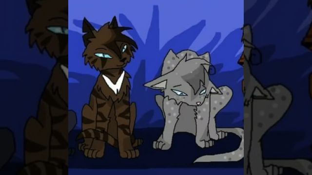 Коты воители смотреть онлайн