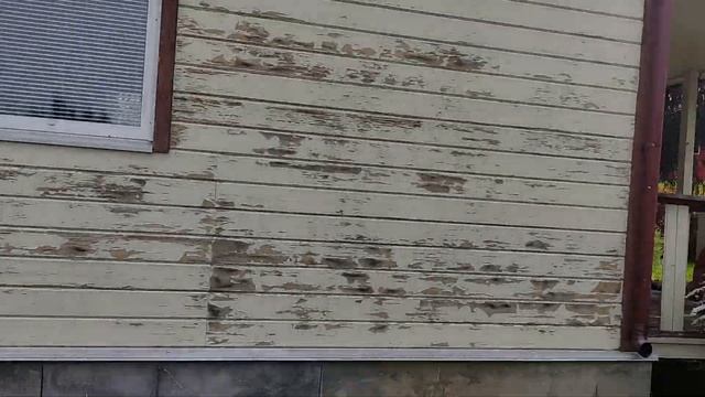 Продаем дачу в 100 км. от Сакт-Петербурга, СНТ Якорь массив Мшинская. смотреть онлайн