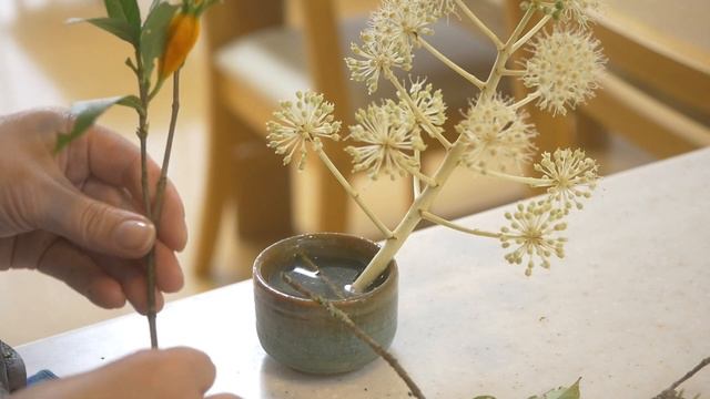 【生け花】クリスマスもお正月準備も忘れて心を落ち着けよう！ смотреть онлайн