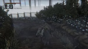 Bloodborne™ Коготь чудовища + руна