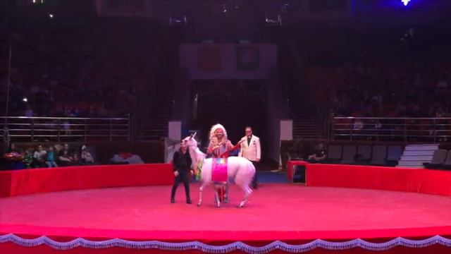 Дрессированная лама смотреть онлайн