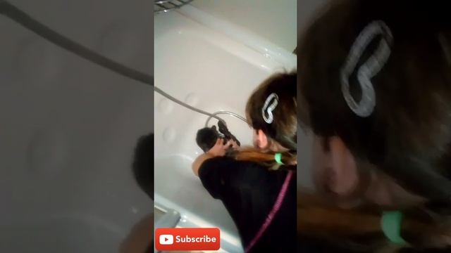 Лайфхак, как нужно мыть кота и как это делаю я. Не пропусти, примера я и мой кот ?. Ржачно, даже ? смотреть онлайн