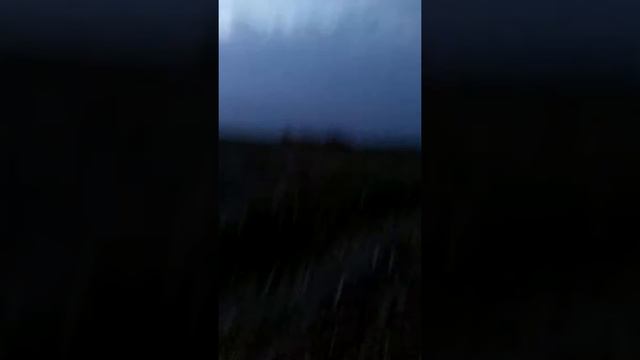 Куда идём мы с петачком большой большой секрет часть 3 смотреть онлайн