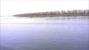 Лодка Дельта 300