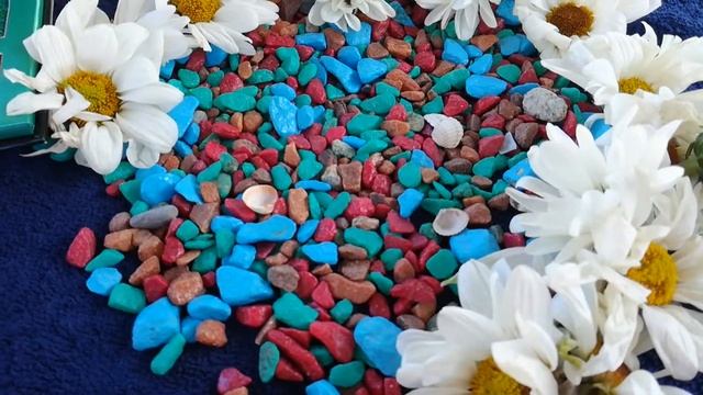 Посылки с пандао смотреть онлайн