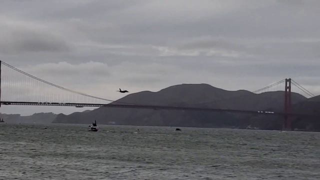 Fleet Week 2021 Blue Angels high speed sneak pass смотреть онлайн
