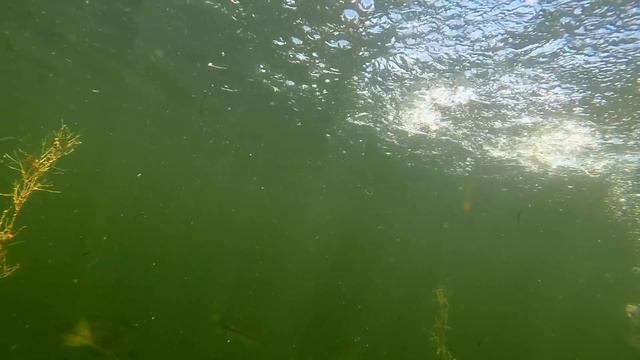 **Insane Underwater Footage** Fish Attacking Lures And Bass Fishing Tips! смотреть онлайн