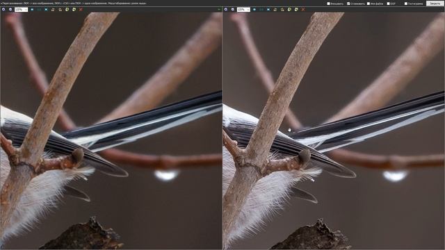Шумодавим ! Сравнение DXO PL4 Vs Topaz DeNoise AI смотреть онлайн