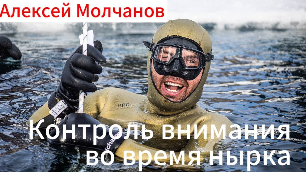 Внимание во фридайвинге - рекомендации Алексея Молчанова. смотреть онлайн