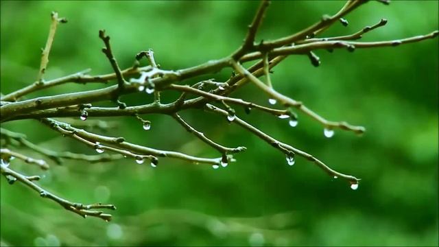 Евангелие от Матфея -Глава 19 смотреть онлайн