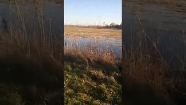 Дугино, Азовский район смотреть онлайн