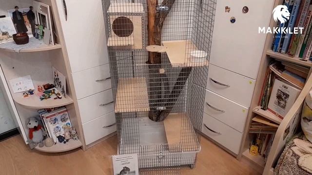 Клетка для шиншиллы 40х50х120см/Наполнение дерево с встроенной веткой дерева/в г.Октябрьск. смотреть онлайн
