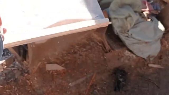 ? Этот поддон сделает вас богатыми. Самый дешёвый поддон для перепелов смотреть онлайн