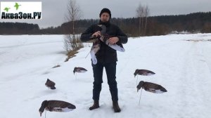 Флюгера белолобого гуся для охоты фотореалистичные. Обзор Аквазон ру