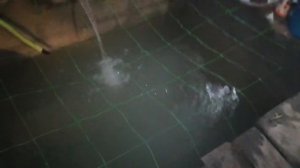 Строительство бассейна Выращивание карпа в домашних условиях.