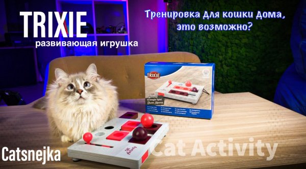 Обзор развивающей игрушки для кошек от TRIXIE CAT ACTIVITY "Brain Mover"