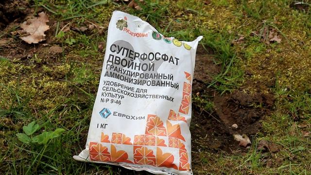 Как накормить и подкормить растения смотреть онлайн