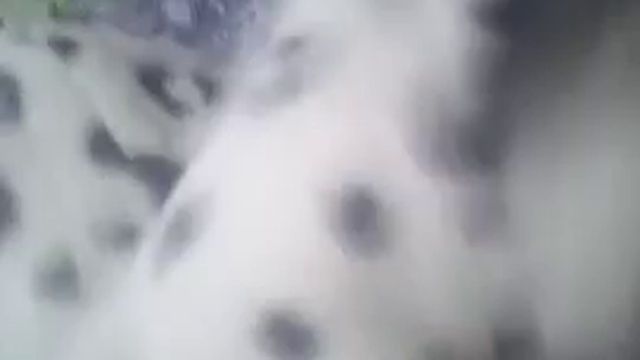 Оператор шоу 4 смотреть онлайн