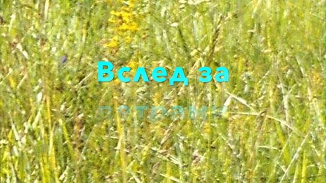 Бежать! (Аспазия Райнис)_Run! (Aspasia Rainis)