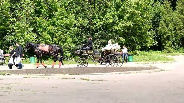 Кусково Прогулка в коляске, запряжённой лошадью смотреть онлайн