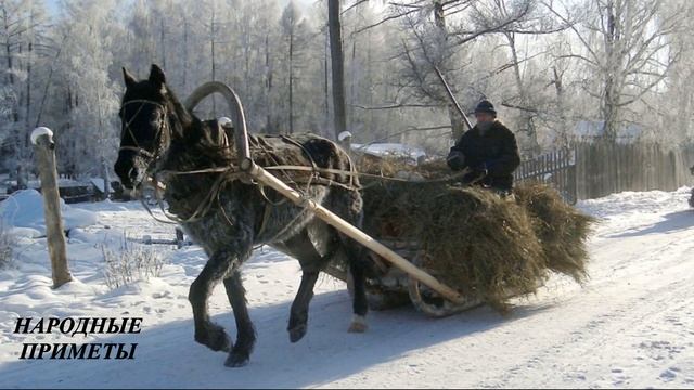 День Святителя Петра. Что нельзя пожелать родным в этот день? Толкуем вещие сны в этот день! смотреть онлайн