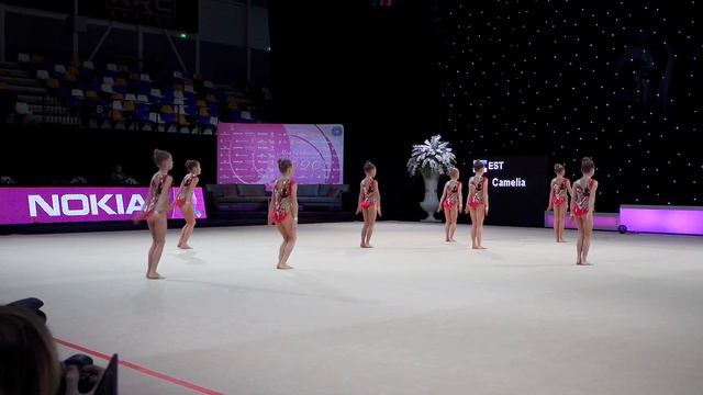 AGG Girls 8-10 | Camelia (EST - GC Piruett) ♡ Miss Valentine 2020 | R1 смотреть онлайн