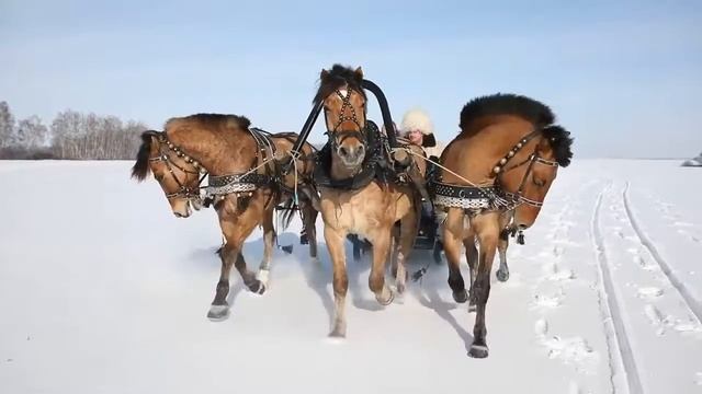 Владлена Чертина "Птица - тройка" смотреть онлайн