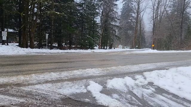 Поездка в Ванкувер | Trip To Vancouver, BC Vlog #19