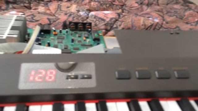 Kris Nicholson Final testing of a digital piano he found in the trash смотреть онлайн