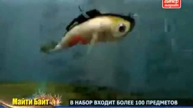 НАБОР СНАСТЕЙ ДЛЯ РЫБНОЙ ЛОВЛИ MIGHTY BITE Заказывайте на tep63.ru смотреть онлайн