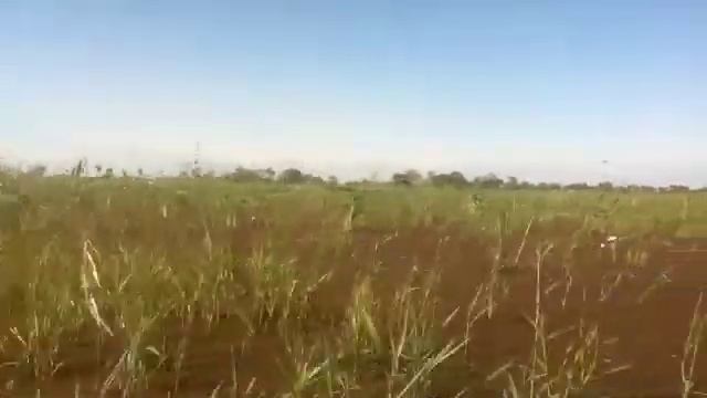 Пампасы, Рурренабаке (Боливия) смотреть онлайн