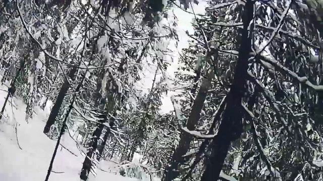 ОСТОРОРОЖНО!! Езда на сноуборде по лесу. #горабелая смотреть онлайн