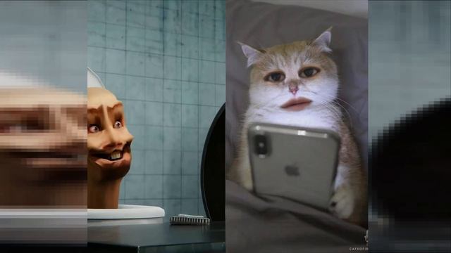 Cat react to skibidi toilet multiverse part 2 смотреть онлайн