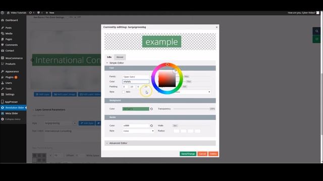 Editing your WordPress website's Revolution Slider смотреть онлайн