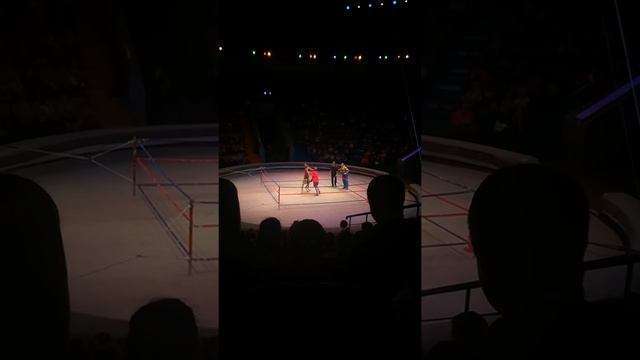 ДРАКА КЕНГУРУ ПРОТИВ БОКСЕРА!!!!ПОЛНЫЙ РЖАЧ!!!!!!!!!!!!!!! смотреть онлайн